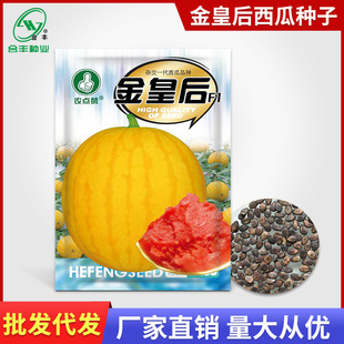 ��ʺ����ϷN�Ӵ��Ĳ��N���|�����SƤ�tȿС����ˮ���N�ݏS�����l