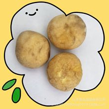 �p�߹��� ������ �r���ִ��o���� �k������ʳ������� ׷��С��