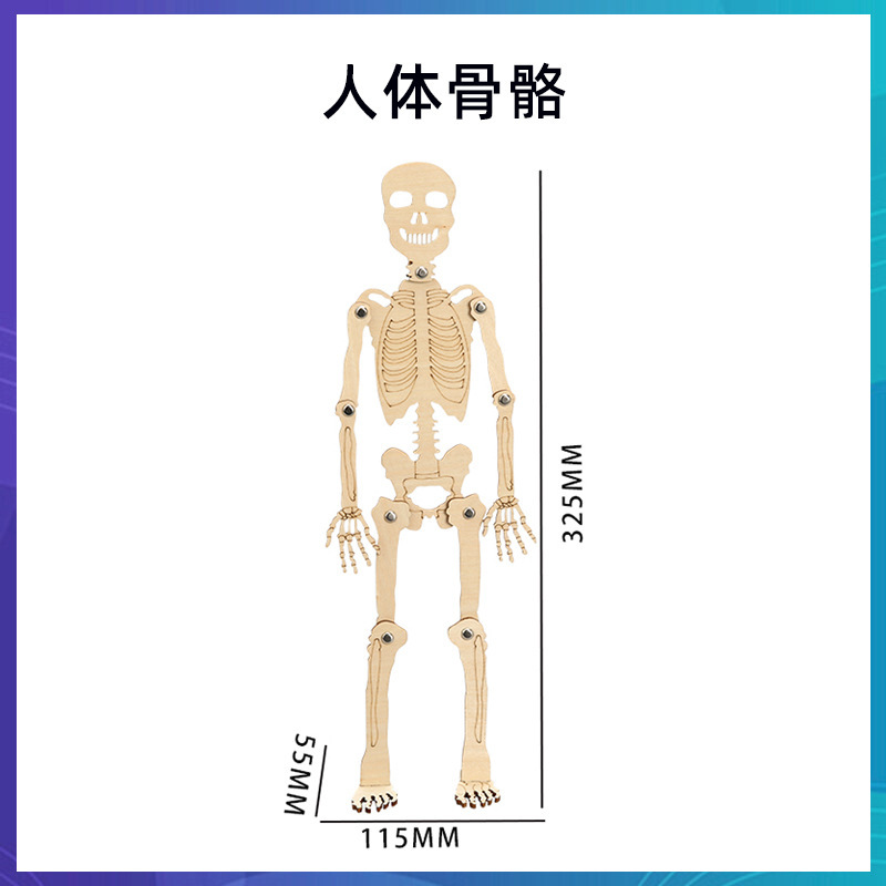科学技術の小さい制作のstem科学の小さい制作の小学生の手の科学の実験の卸売りの子供のおもちゃの材料の包み|undefined
