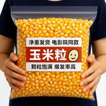 ����؛����؛������ ���׻�ԭ�� �[���������������l