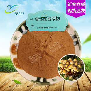 �ۭh����ȡ�� ���� �ۭh���� ��ɫ �F؛���� ���󃞰��]