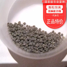 �W���B�Q���l�����Q�������w12345�g��z�ʽz�Q���b���b���rɣ�~