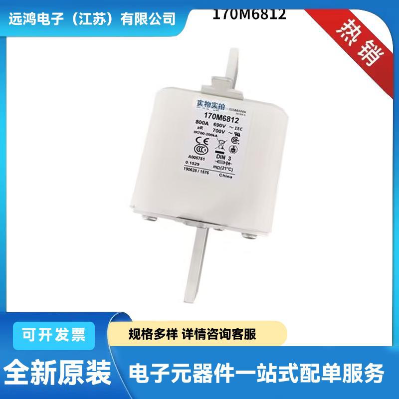 170M6760 170M6761 170M6762原厂原盒快速熔断器 高压熔断器