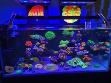 9V9B海缸膜海缸贴膜海水缸珊瑚缸过滤蓝光去蓝光膜海缸拍照滤镜玻