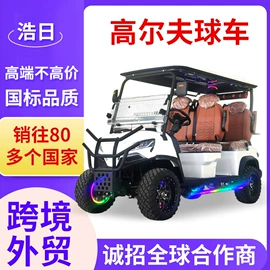 电动观光车;高尔夫球车;其他电动车