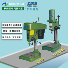 ̨荸߾荹I380VС̨ʽ荿יCZWG-4AZWG-4b