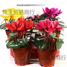 �ɿ́��辰�ٻ��c���̨�͏d�ҕ���b��҃��軨�[�O���Ҕ[��