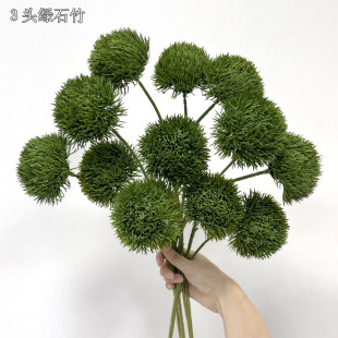 ������Gɫ�Gë�� 3�^���ֲ�� ��ˇ�廨�Gʯ����ʽ�L��ٻ�ֲ��