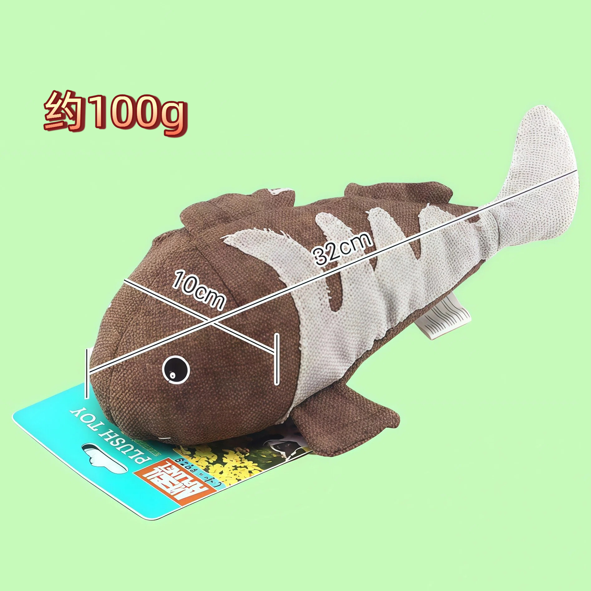 커피 잉어