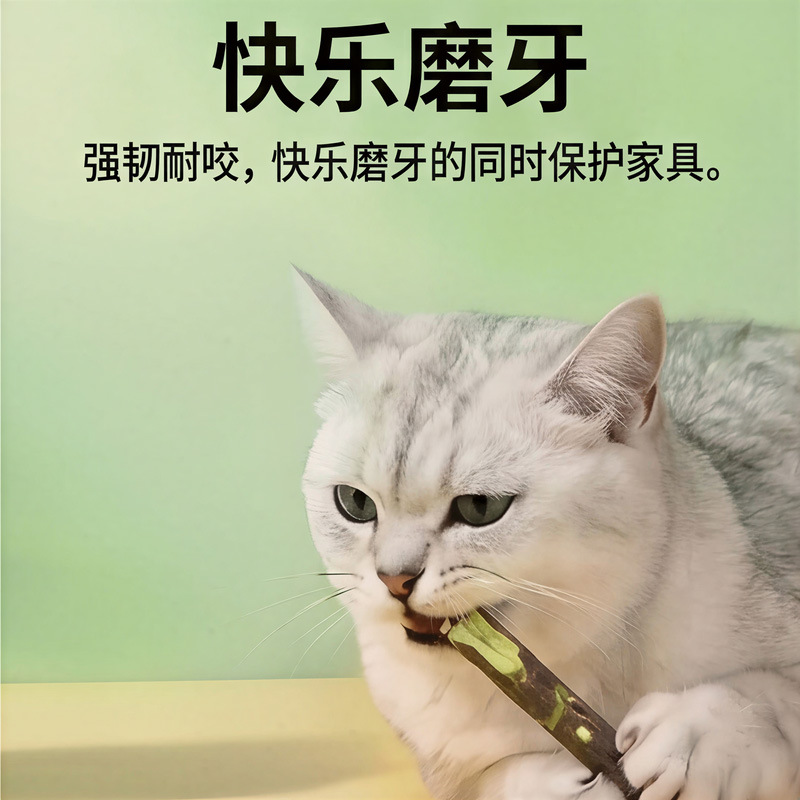 Palito Molar de Matatabi para Gatos de Matatabi Natural, Limpieza Dental y Alivio de Estrés, para Gatos Adultos image 1
