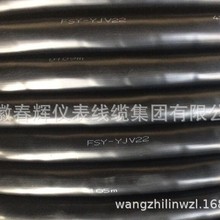 �����ρ��|FSY-YJV22����ҧ������ρ