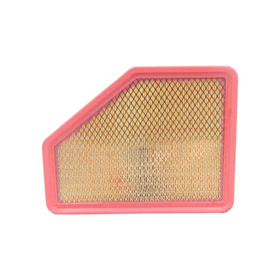 Air Filter: Buick Air filter