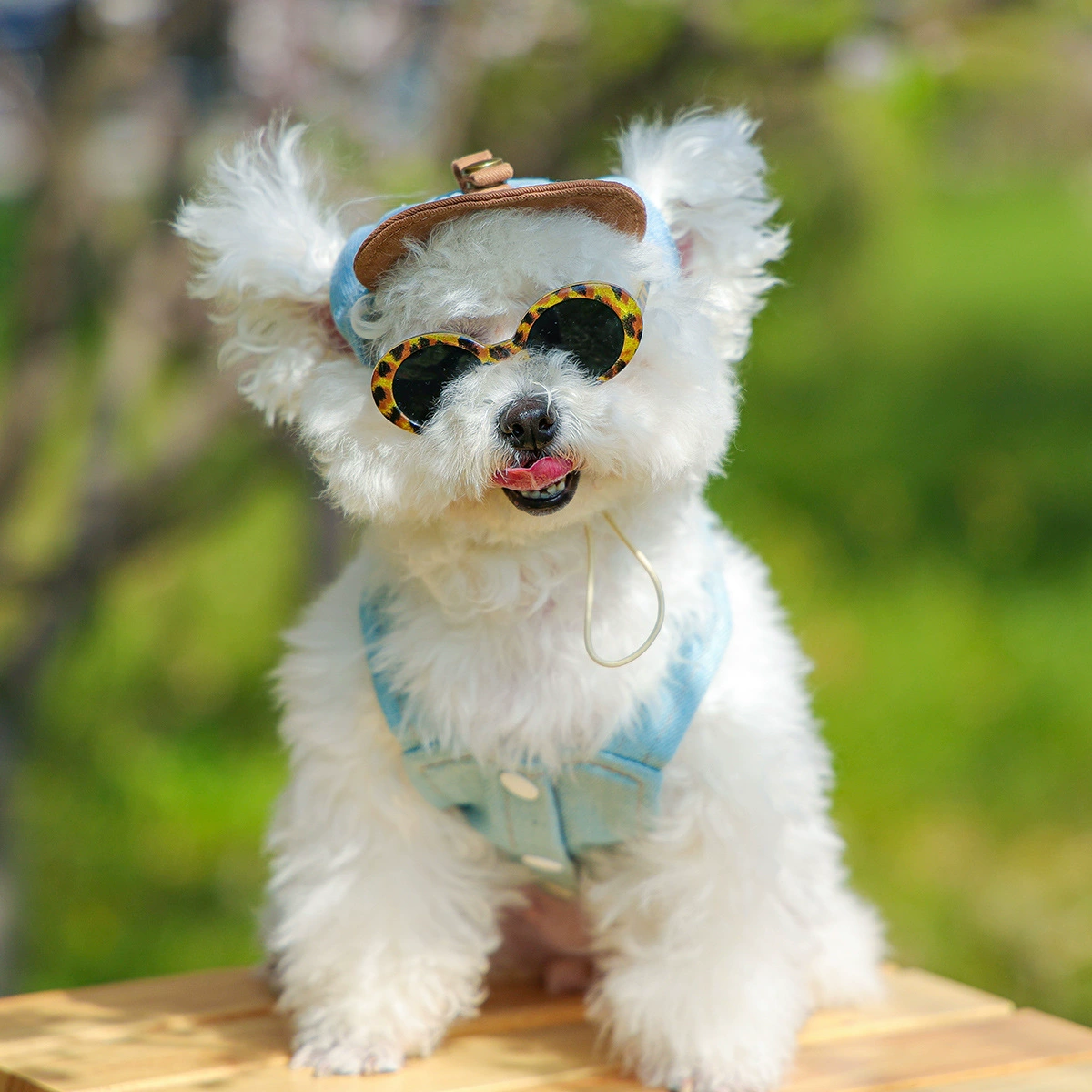 Ins очки для домашних животных Кошки собаки любят солнцезащитные очки