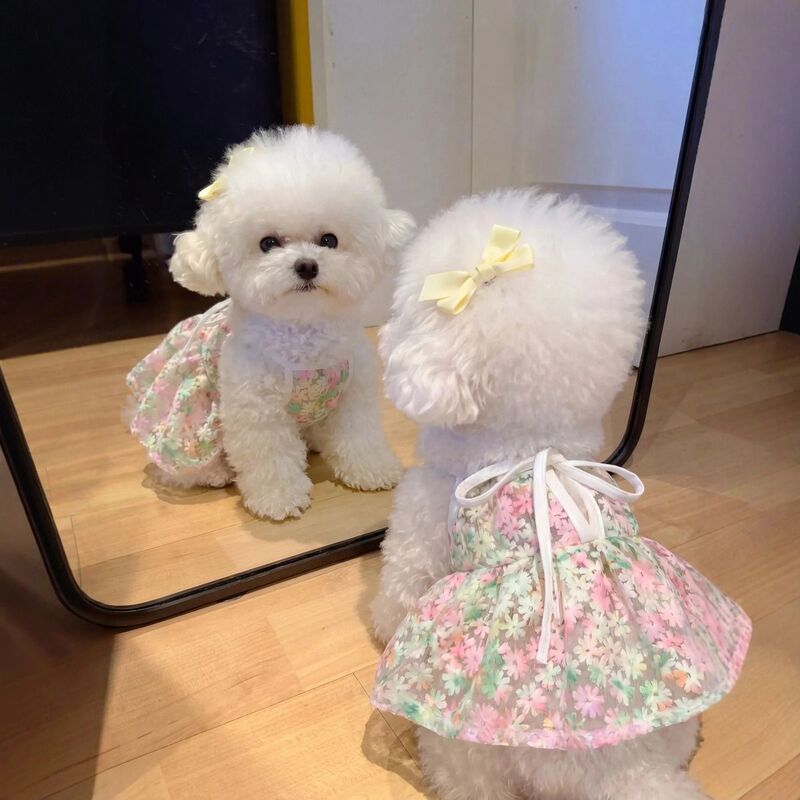 Pet Dogs and Cats Spring and Summer New Style Cherry Blossom Suspender Skirt Princess Style Bichon Teddy Pomeranian Yorkshire Small Size Dogs Pet Dogs and Cats Spring and Summer New Style Cherry Blossom Suspender Skirt Princess Style Bichon Teddy Pomeranian Yorkshire Small Size Dogs