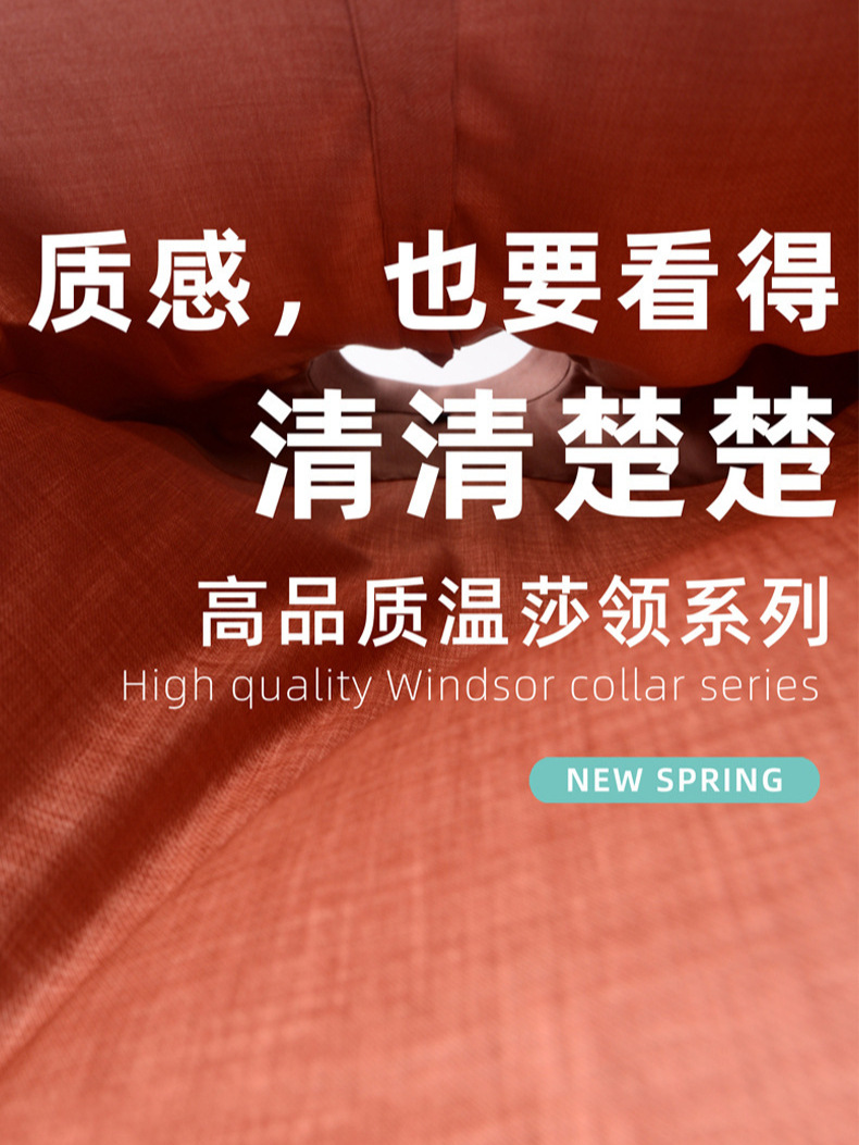 Windsor collar estilo francés camisa de los hombres no planchar manga larga de negocios Luz de lujo de los hombres ropa de trabajo casual Camisa de los hombres