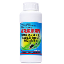 �nω�������ș���x�����F�Bֳ�����Ü�ω��������Ҹ��������S��