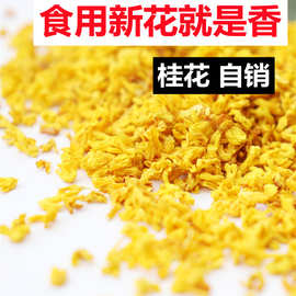 正宗桂花干 特产食用级浓香新鲜冻干花 桂林金桂花散装商用泡茶叶