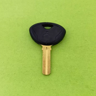 Motorcycle Key R1200Gs Adv Oil Bird