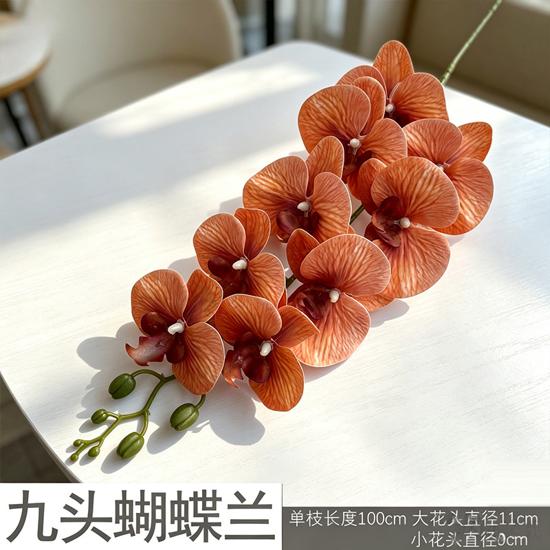 3D Phalaenopsis/tangerine mới