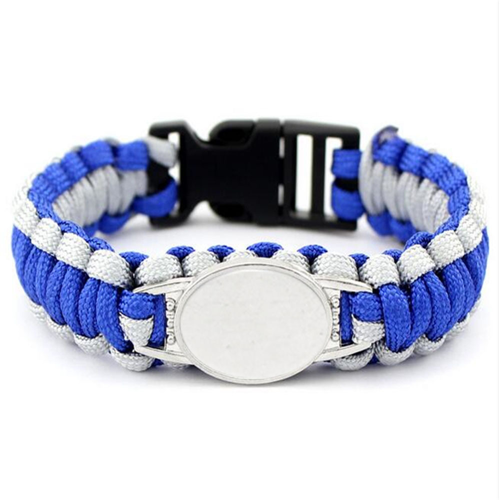 디트로이트 라이온스