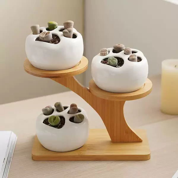 Desktop multi-layer small flower rack decoration green plants and more meat bay window balcony living room office flower pot rack rack wholesale