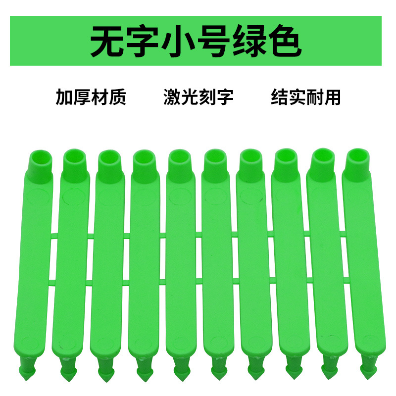 Una etiqueta de oreja de oveja verde sin palabras (100 piezas)