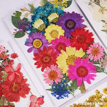 干花DIY押花包 押花书签压花包压花画材料真花滴胶干树叶