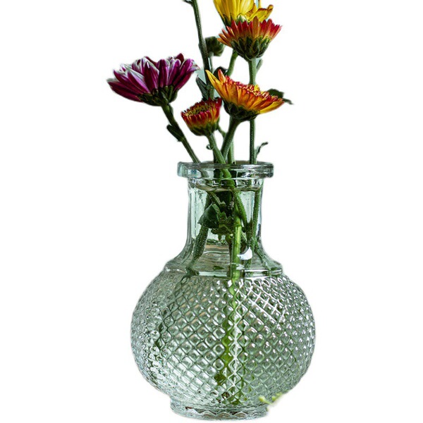 Madrid's French retro glass vase transparent small -caliber flower…