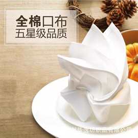 纯白色全棉口布酒店西餐厅纯棉餐巾布折花口布打杯擦杯布不掉毛