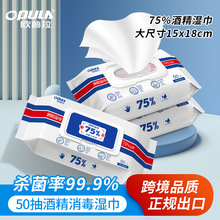 75%�ƾ�ʪ�����ʵ�ݼ�ͥװ����ʪ��һ�������Ƥ������ʪֽ��
