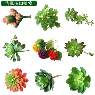 �������ֲ��Gֲ���b廨���� �ҾӔ[���ٶ���diy�辰�M��ֲ��
