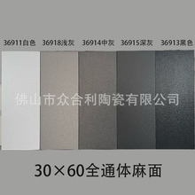 ȫͨw¹ŵذu300*600ڰɫLɳyƽɫ