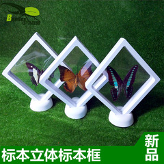 T9J5 wholesale butterfly specimens, real insect specimens, framed 3D display, birthday gifts, jewelry teaching, art