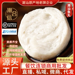 汕頭魚丸潮汕達濠魚丸真空鍋麻辣湯食材広式魚卵麻辣湯500g
