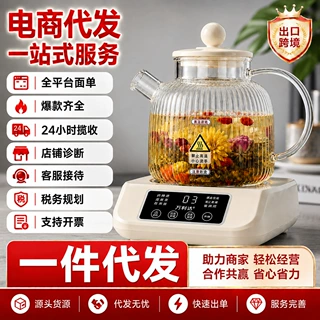 花茶壶0胶水多功能全玻璃茶壶高颜值炖煮养生花茶恒温壶一件代发
