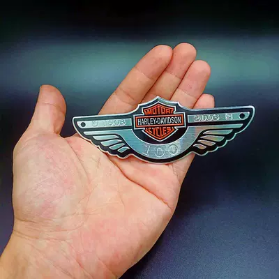 Car logo: emblem, personalized wing stickers