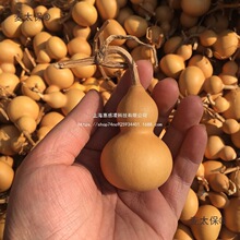 ����ˇ����������JС�������^���J�������J���غ��J�������̫��