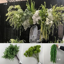 �Gɫ�Gֲ��횲ݲ廨�b����J���ݹ��T��c��ˇɭϵֲ���쾰