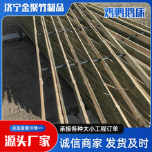 uZ©SBֳpb坍ư嶨lľB©S