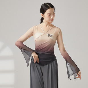Classical Dance Clothing, Super Fairy Gradient Gauze Butterfly, Elegant Chinese Dance Performance Clothing, Body Practice Performance Clothing