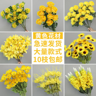 �Sɫ���滨��Y�����b�c�û��ٻ������Ҿ��b���Sɫ���滨���l