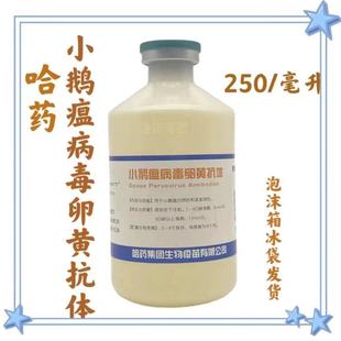 ��șС�Z�����w�����Z����