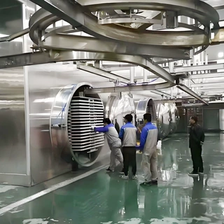 冻干机商用大型真空冷冻干燥机水果蔬菜药材食品全自动冻干机
