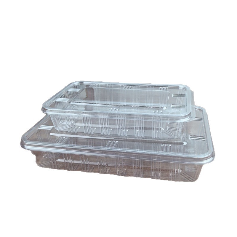 500 / 1000ML caja anticongelante rectangular PET desechable carne de cordero fresca en conserva caja de embalaje transparente