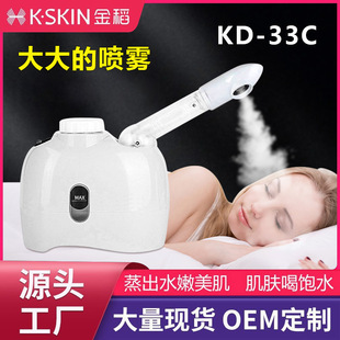 Cross-border Hot Selling Face Steamer Hydrating Spray Humidifier Household Face Hot and Cold Beauty and Moisturizer Hair Salon Face Steamer