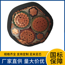 WDZABPYJYP1-2�~�z�p�@�~���@���p�����ε͟��o�uA����Ȼ׃�l��|