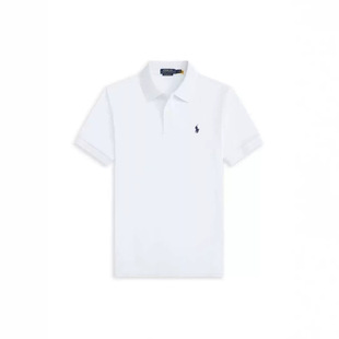 ��ʿ����С�R�̽�Polo���ļ����I���伃ɫ�̄����e�|͸�����b