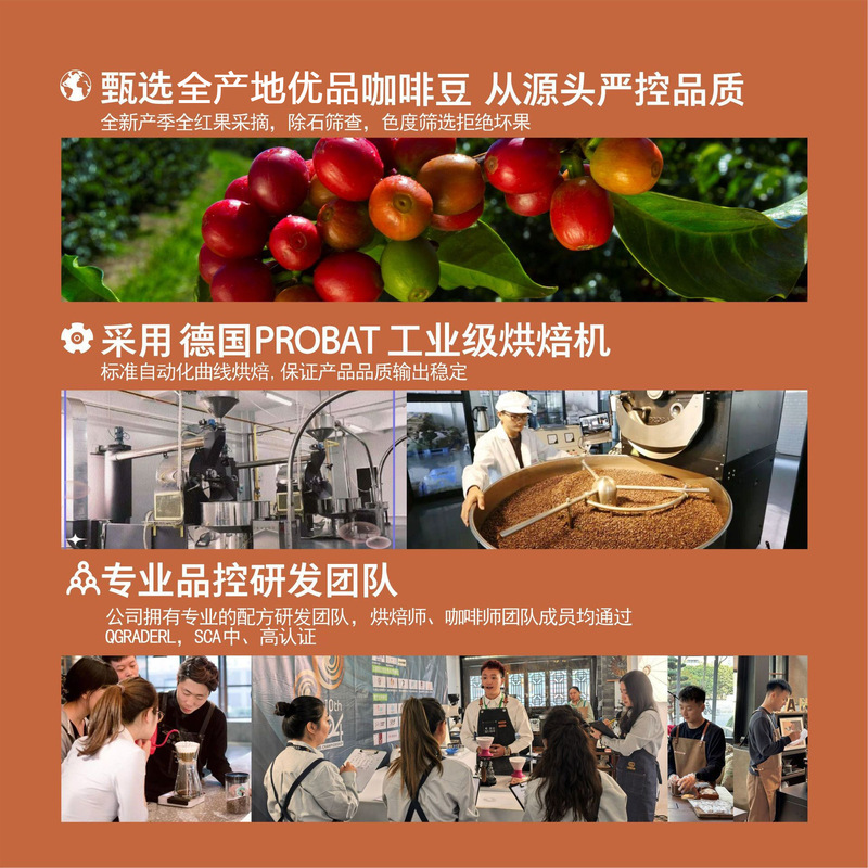 洪都拉斯雪莉中深烘焙手冲冷萃咖啡豆商用意式SOE酒香酒香精品|undefined