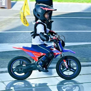 Apollo Warrior Two-Wheel Off-Road Electric Motorcycle RFN – An Electric Vehicle for Teenagers and Children, Perfect as a Birthday Gift for Parents and Kids
