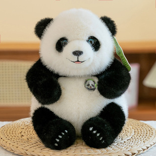 �������m��؈��ż���� ë�q��߱��펧�z����ż���l